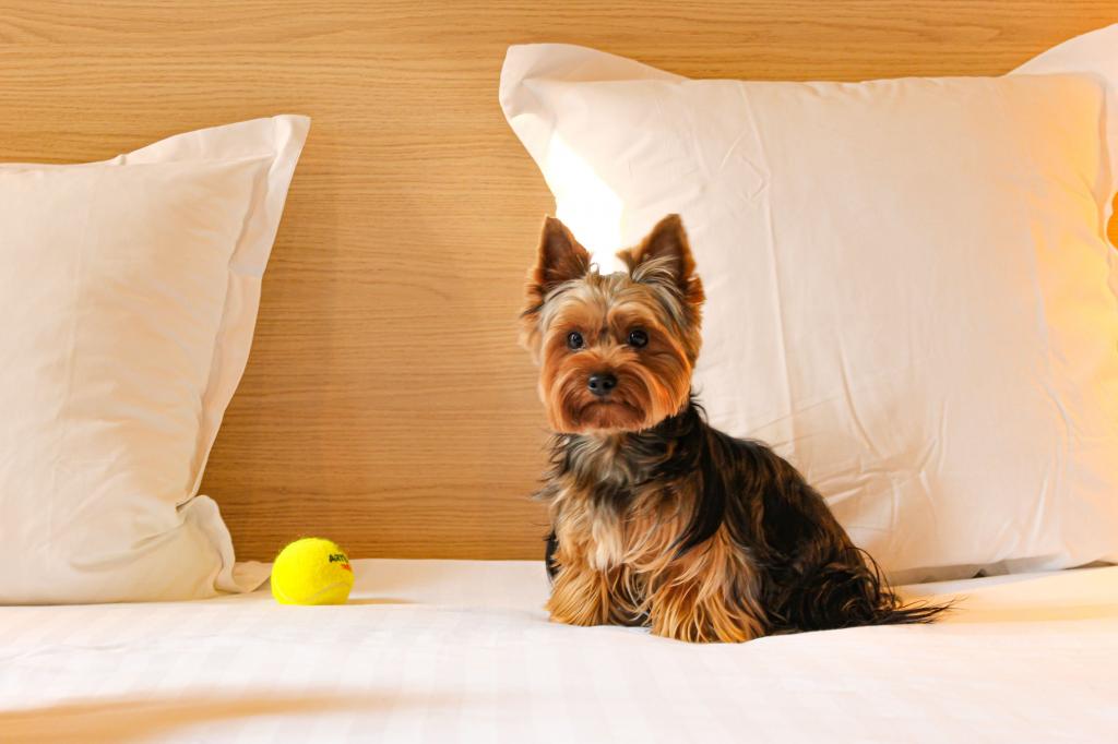 Hôtel de France Nice